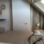 Διαμέρισμα Duplex Monte Oiz 2